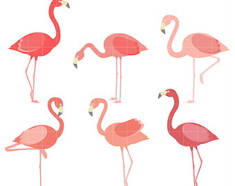 Pink Flamingos Clipart | Free download on ClipArtMag