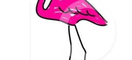 Pink Flamingos Clipart