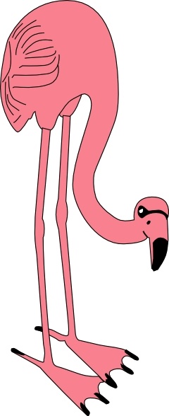 240x588 Flamingo Vector Free Vector Download (19 Free Vector)