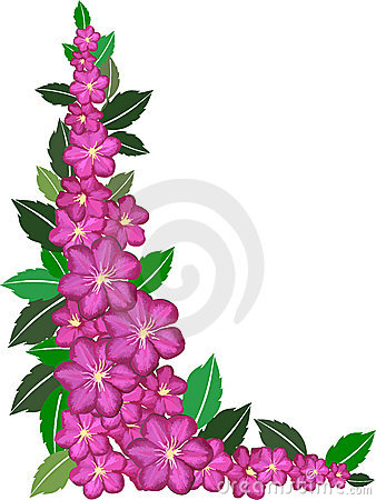 338x450 Pink Flower Clipart Flower Boarder
