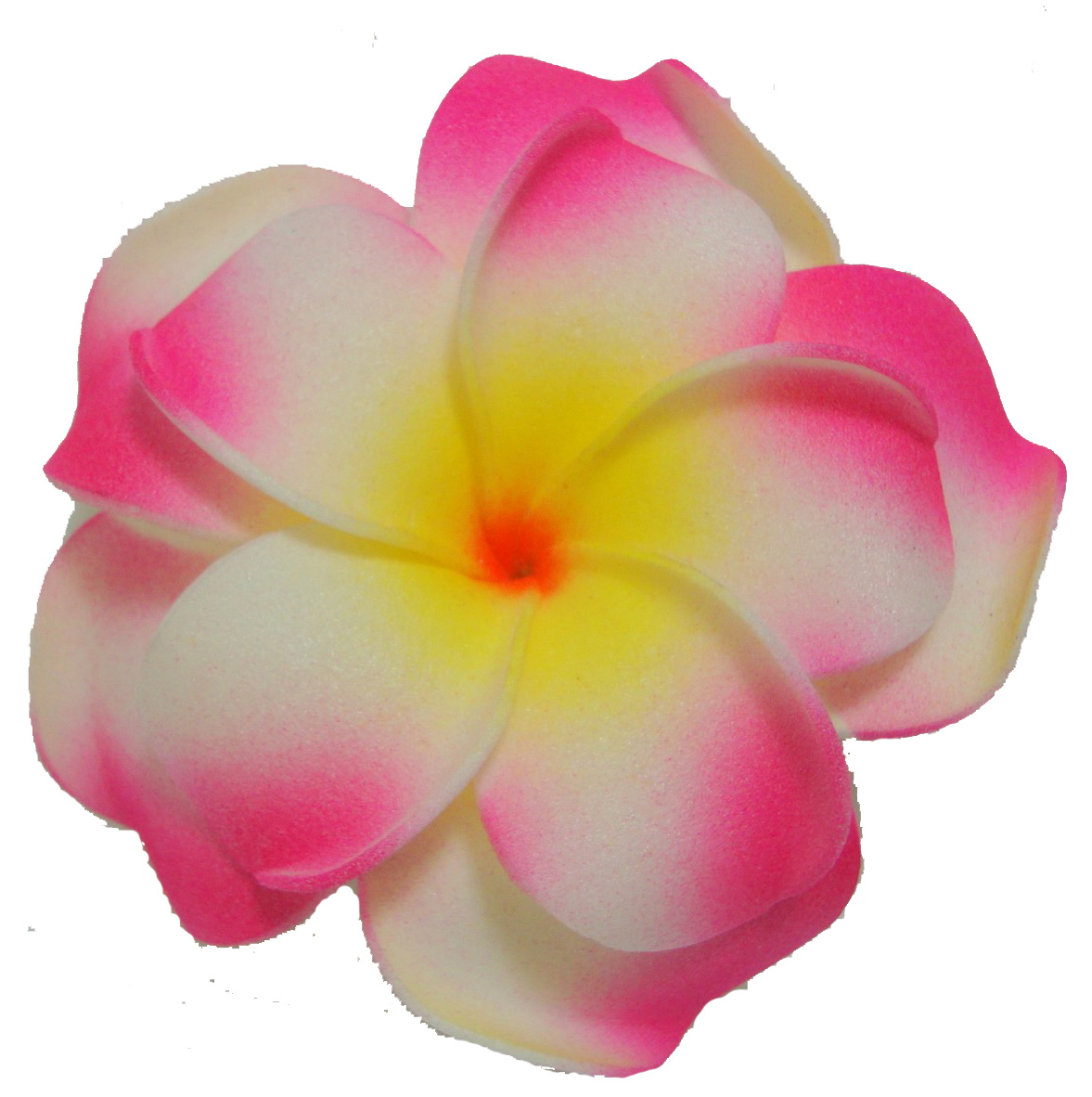 1177x1182 Pink Flower Clipart Plumeria