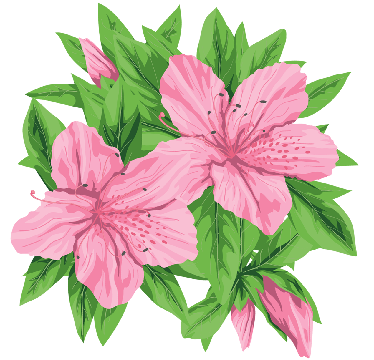 1270x1223 Pink Flowers Png Clip Art Imageu200b Gallery Yopriceville