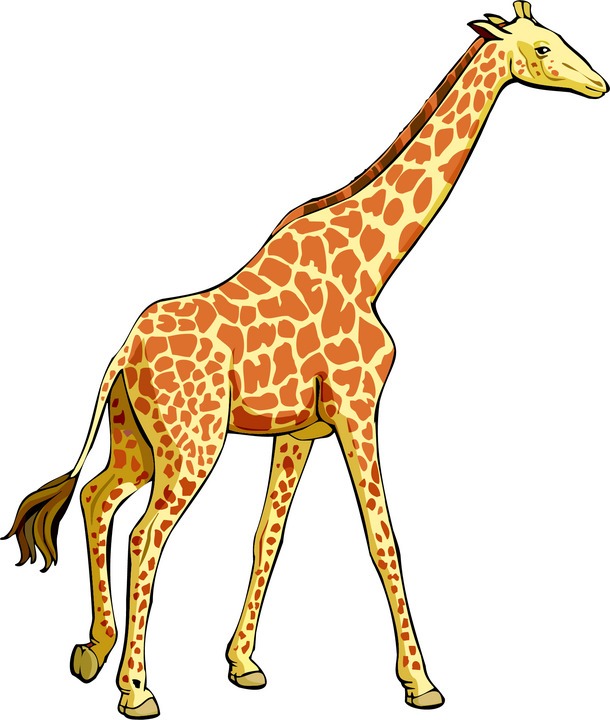 610x720 Giraffe Clip Art Free Clipart Images 2
