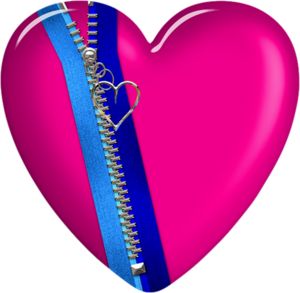 300x293 771 Best Heart Backgrounds Images Bellis Perennis