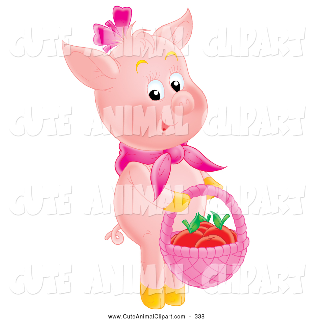 1024x1044 Royalty Free Pig Stock Animal Designs