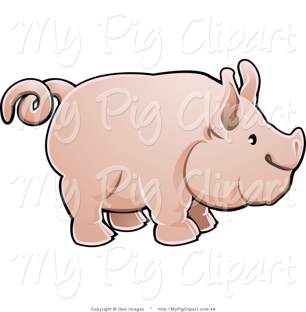 1024x1044 Swine Clipart Of A Adorable Big Pink Pig With A Curling Tail