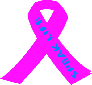 298x273 Hot Pink Ribbon Clip Art