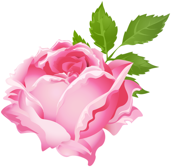 600x585 Pink Rose Png Clip Art Imageu200b Gallery Yopriceville