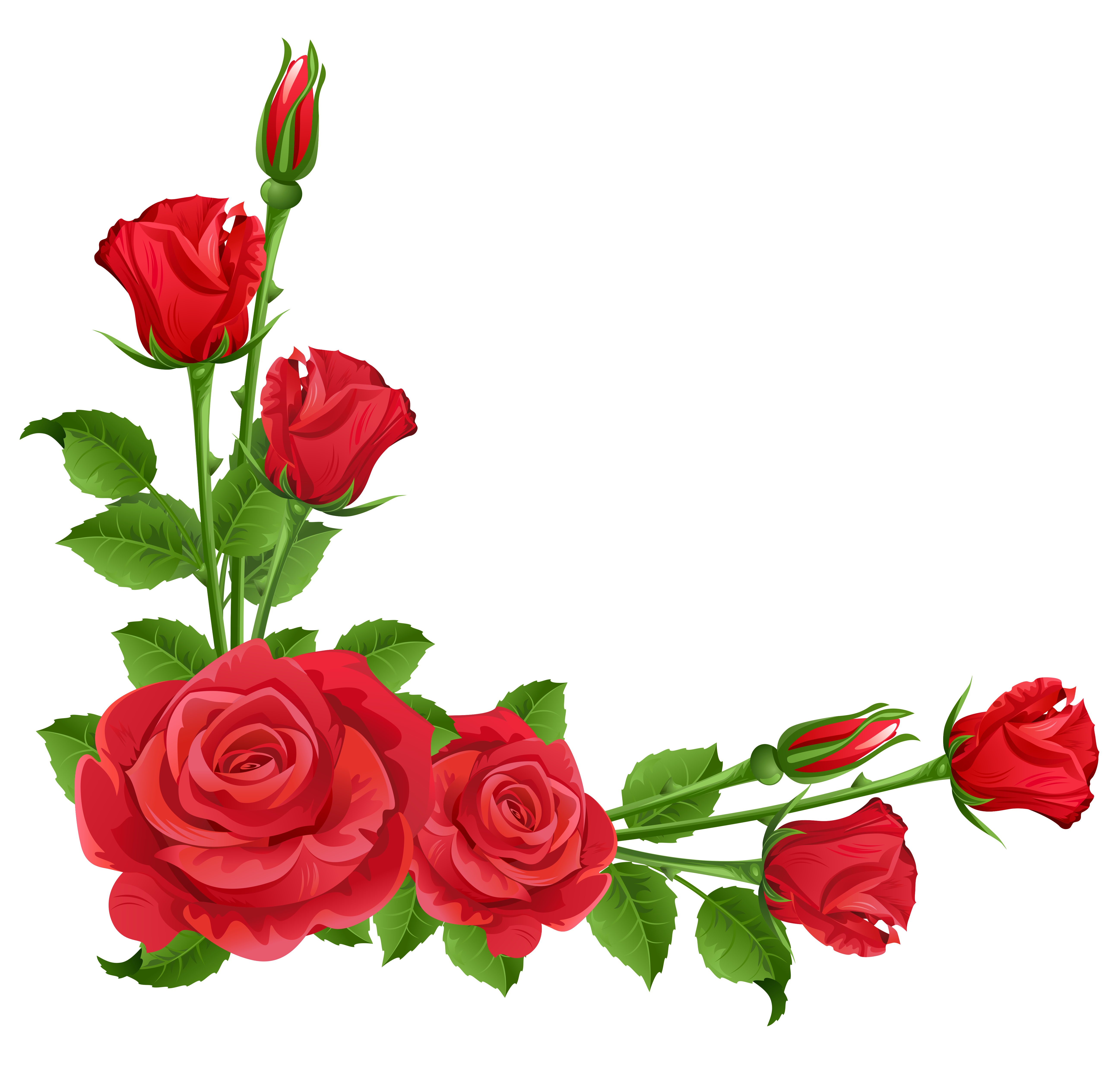 5187x4954 Pink Rose Clipart Public Domain