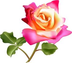 236x208 Pink Roses Clip Art Free Clip Art Of A Hand Holding A Single Red