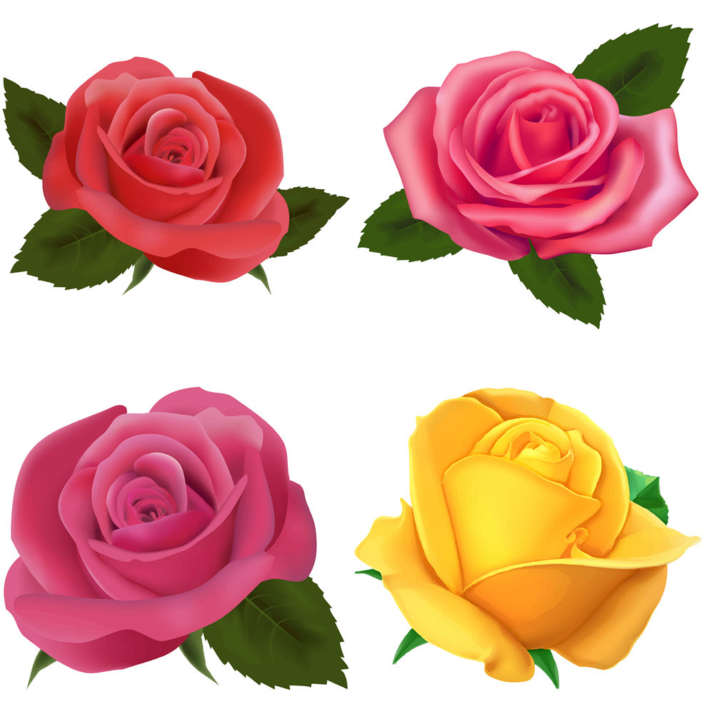 pink-rose-clipart-free-download-on-clipartmag