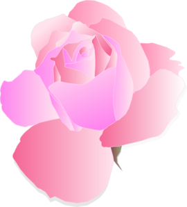 270x298 Pink Rose Clip Art