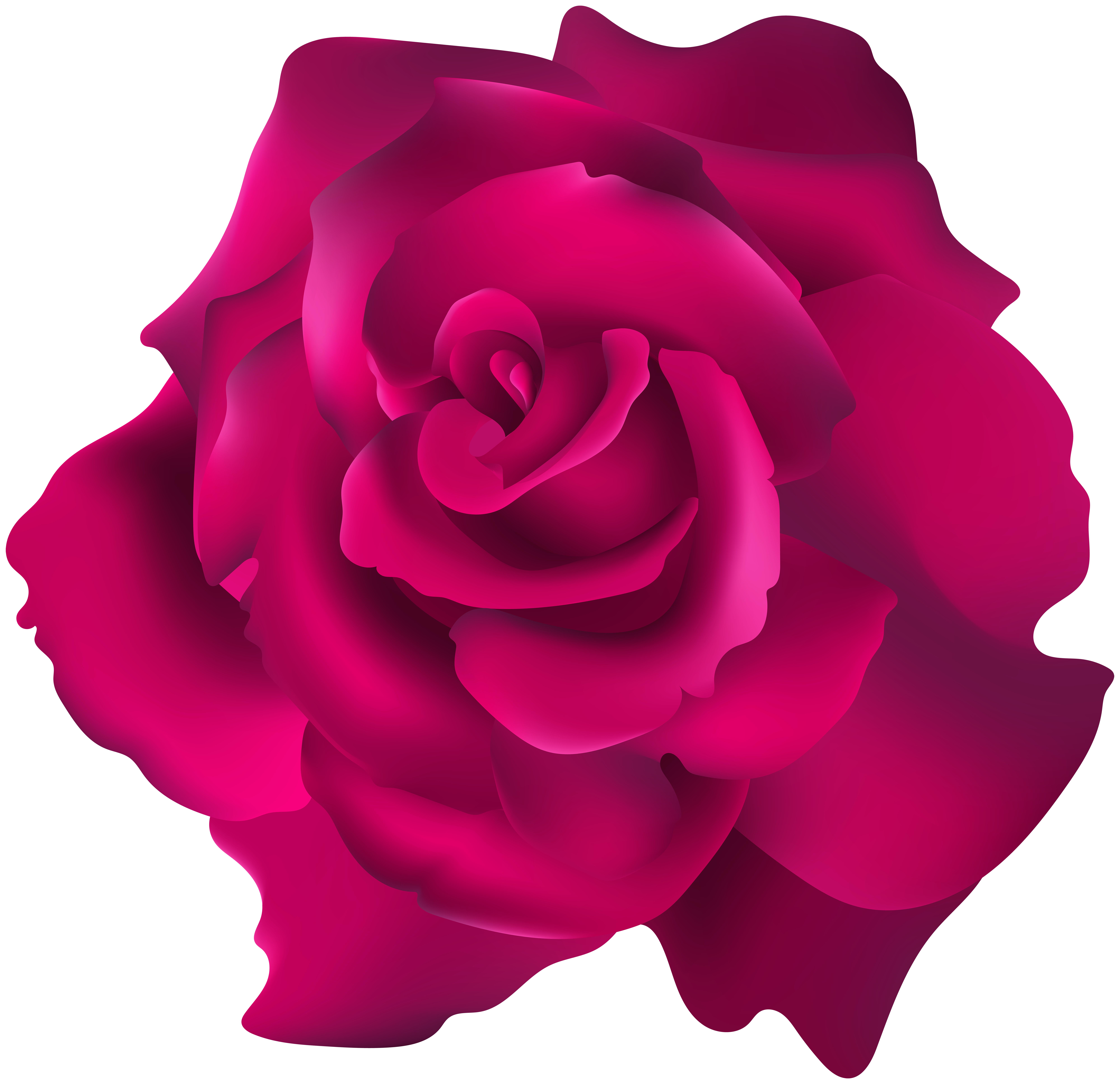 8000x7745 Pink Rose Transparent Clip Art Png Imageu200b Gallery Yopriceville