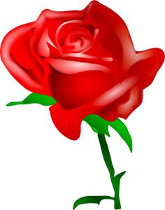 236x300 Rose Drawings Red Rose Clip Art
