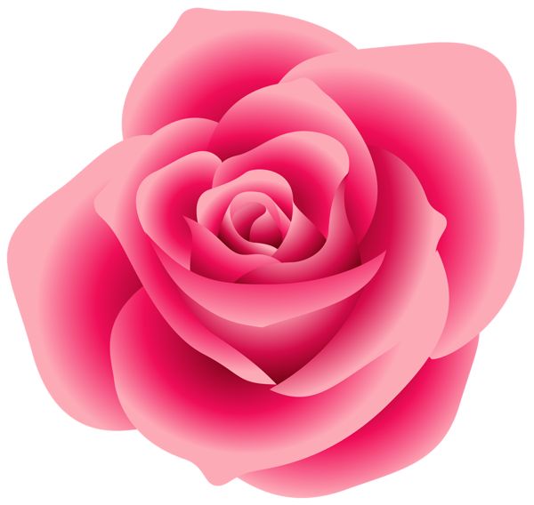 600x568 85 Best Clipart Pinkrosa Roses Images Pictures
