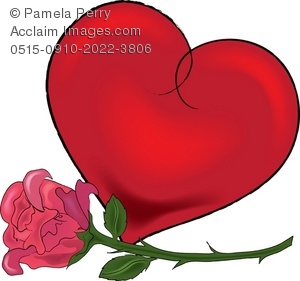 300x281 Art Illustration Of A Red Heart With A Pink Rose
