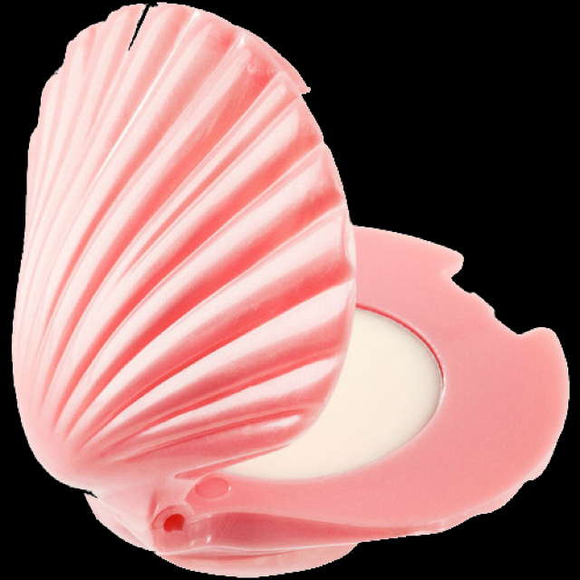 640x640 Seashell Compact On The Hunt