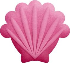 236x210 Pink Seashell Clipart