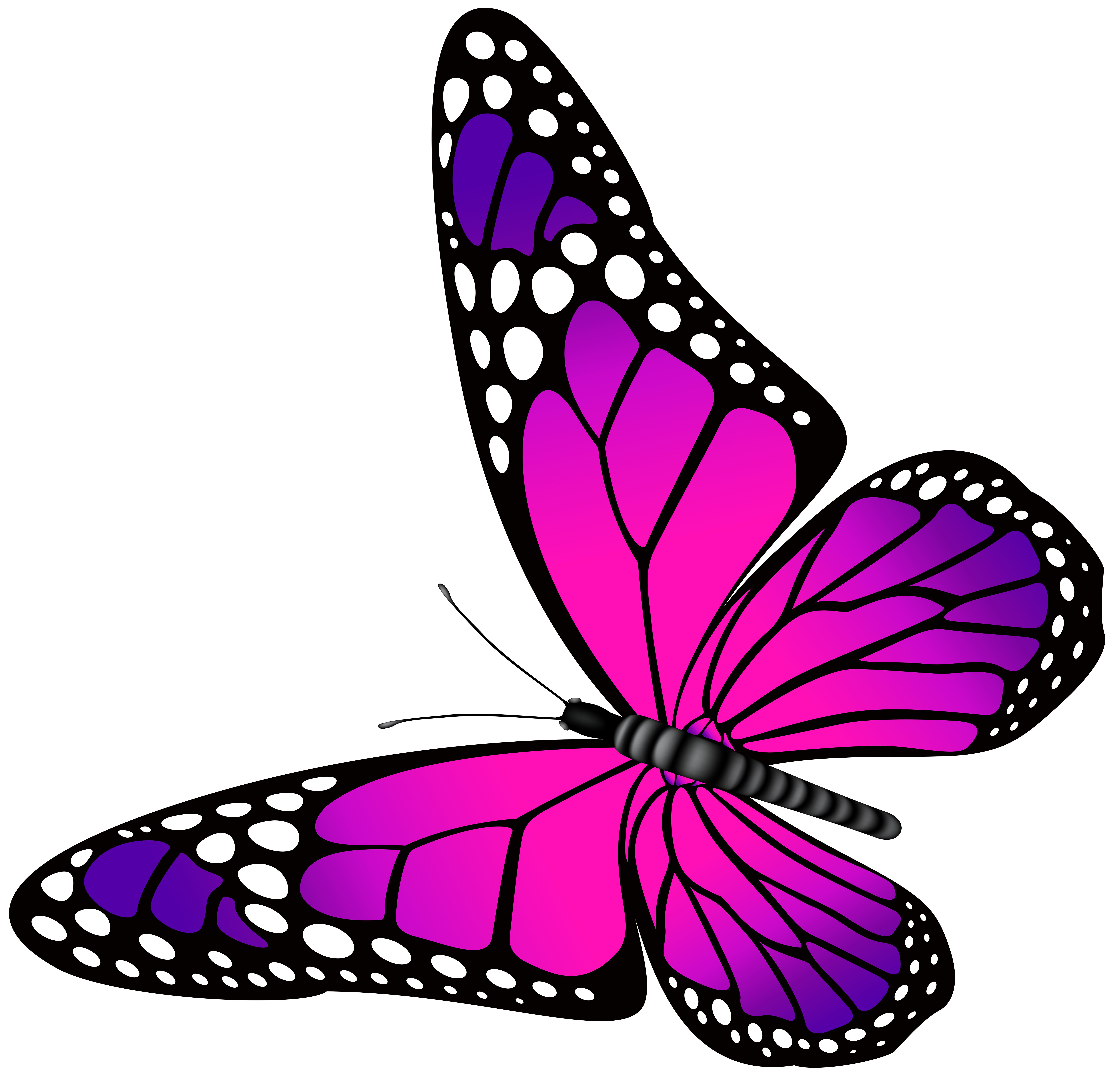 7000x6769 Top 87 Butterfly Clip Art