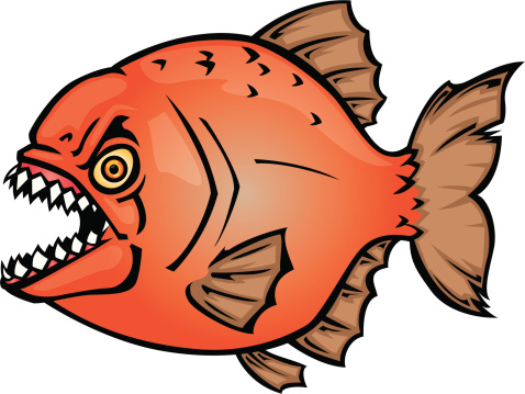 478x359 Piranha Clipart Fishing