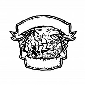 275x275 Galleons Images