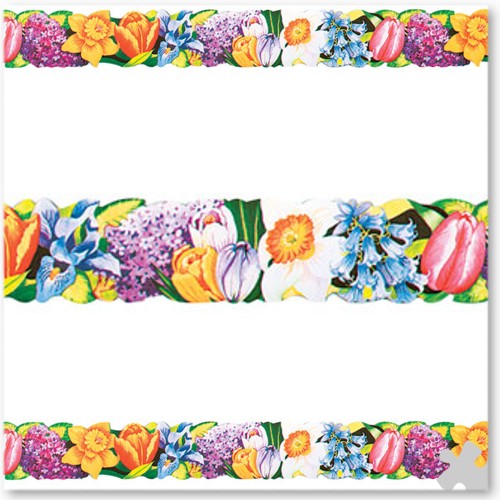 500x500 Display Paper Amp Border Rolls Schools Direct Supplies, School