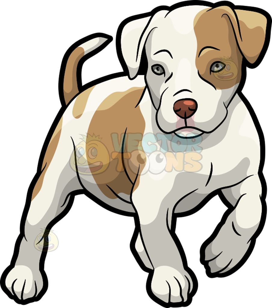 904x1024 A Pit Bull Puppy Cartoon Clipart