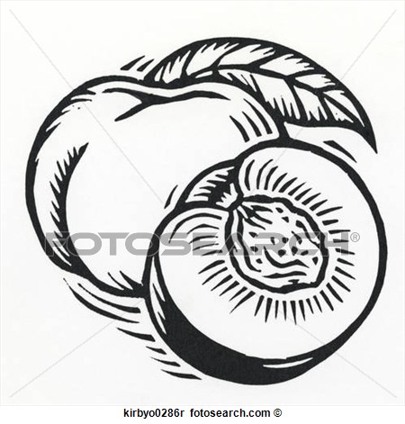 450x471 Peach Pit Clipart