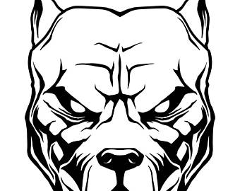 340x270 Pitbull Head Clipart