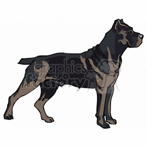 300x300 Royalty Free Black Pitbull 131707 Vector Clip Art Image