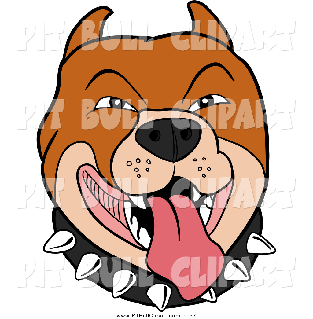 1024x1044 Royalty Free Pitbull Stock Pit Bull Designs