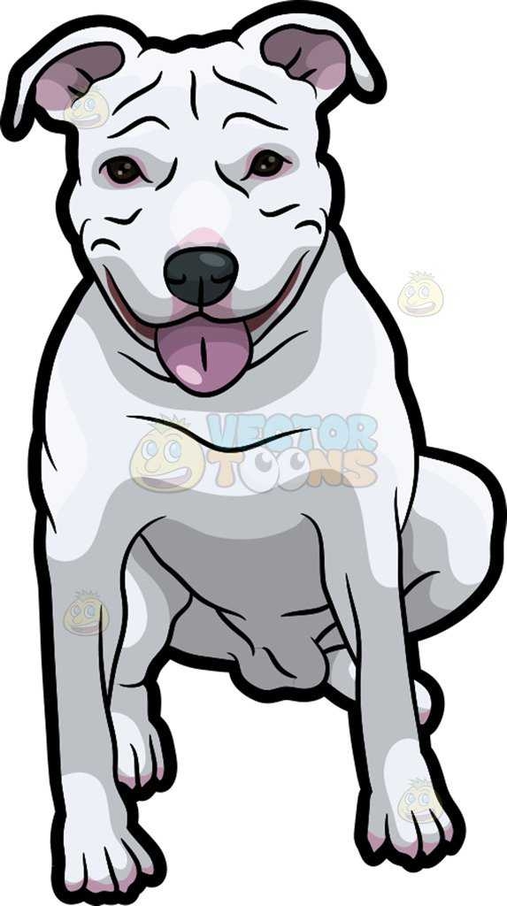 573x1024 Top 10 Pit Bull Clip Art