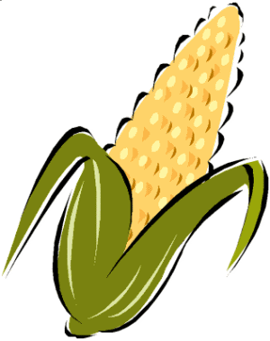 300x379 Corn Clipart Animated