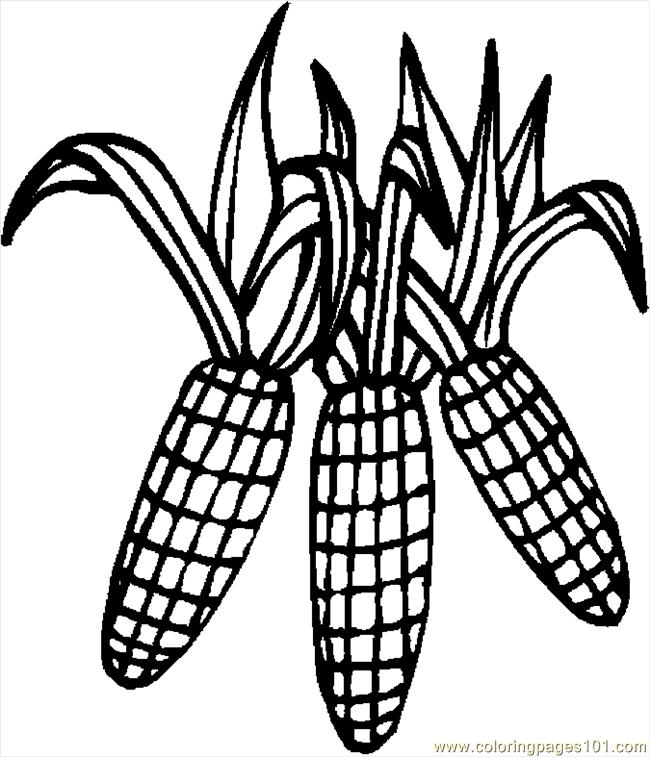 650x757 Indian Corn Coloring Page 430324