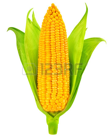 360x450 Maize Stock Photos. Royalty Free Maize Images And Pictures