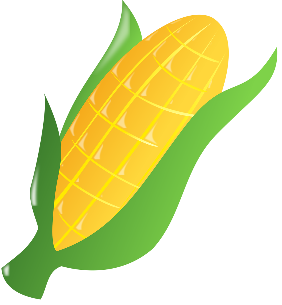 958x1038 Corn Free Stock Photo Illustration Of An Ear Of Corn