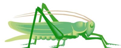 400x161 Locust Clipart 2 400x161 Clipart Panda