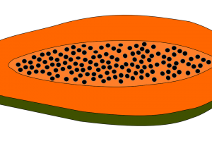 300x200 Plain Land Clipart 3 Clipart Station