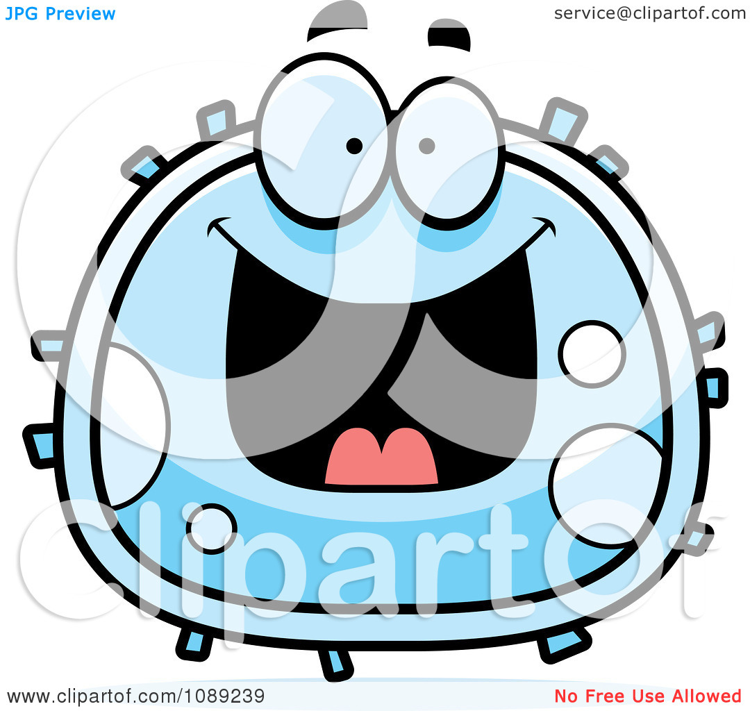 1080x1024 Gallery For Gt Eukaryotic Animal Cell Clipart