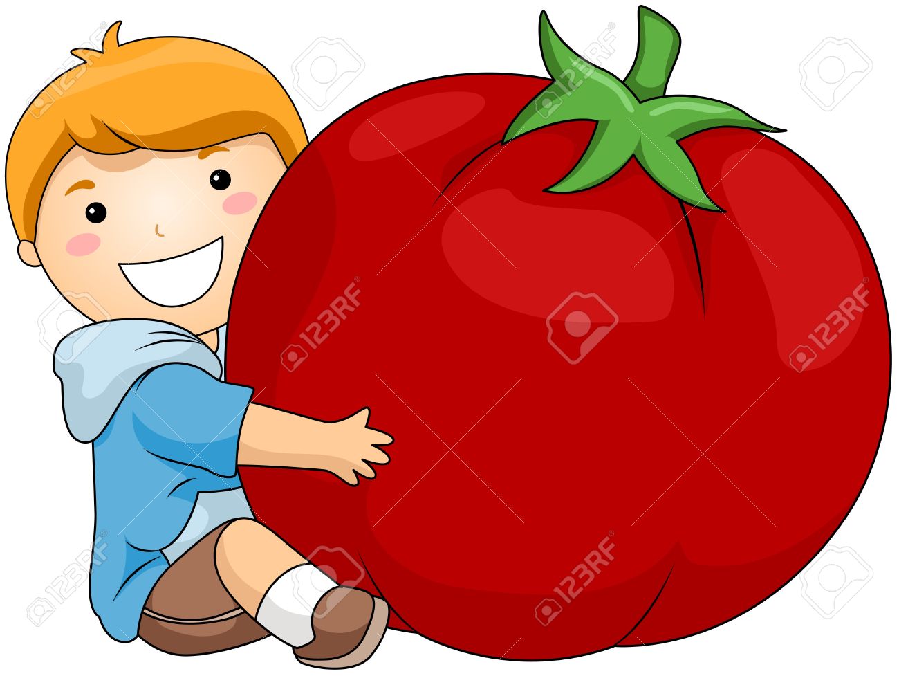 1300x977 Tomato Clipart Different Kind Plant