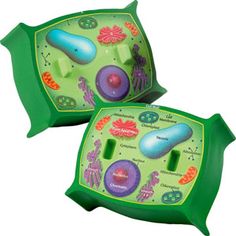 236x236 Top 92 Plant Cell Clip Art