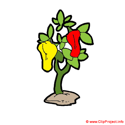 400x400 Pepper Clip Art