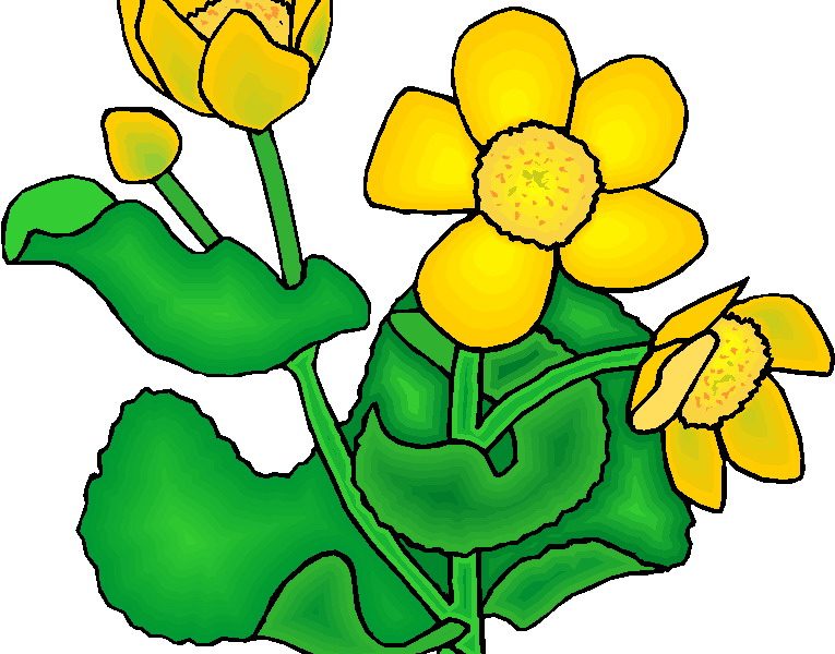 765x600 Plant Clip Art