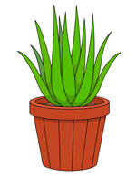 150x195 Plant Clipart Amp Look At Plant Clip Art Images
