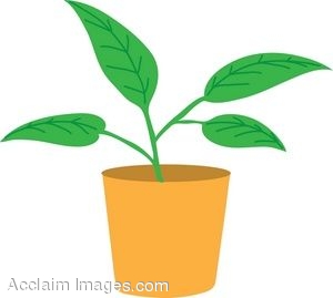 300x269 Clip Art Of A Leafy Potted Plant
