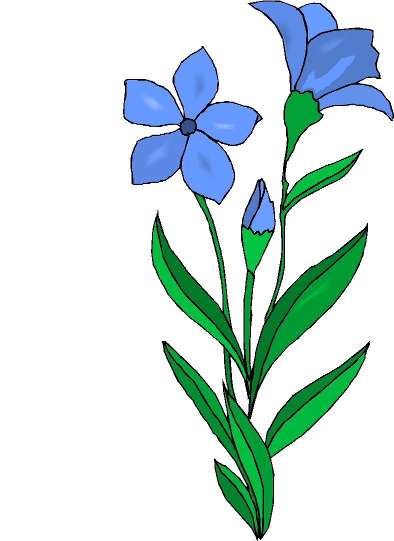 788x1081 Plants Clip Art Clipart Panda
