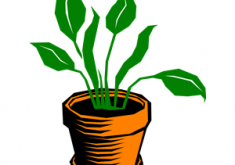 235x165 Pretty Design Plant Clip Art Clipart Plants Paint Tiny Cliparting