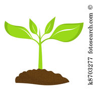 187x179 Young Plant Clipart