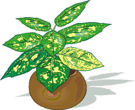 434x353 Clipart Images Of Plants