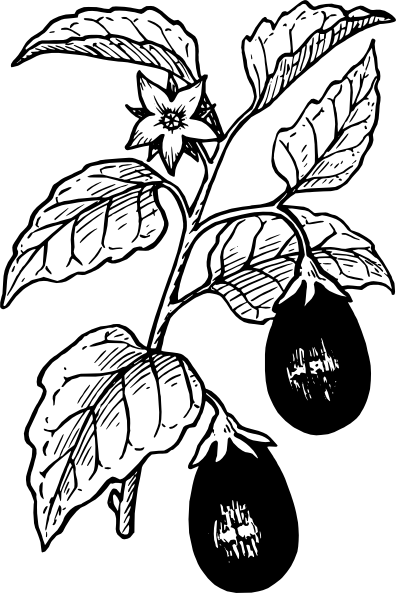 396x593 Plant Clip Art